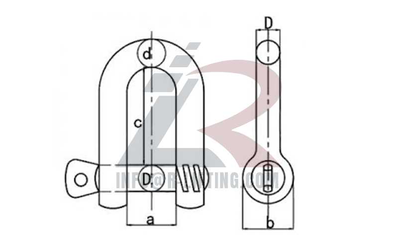 European Type Large Dee Shackle