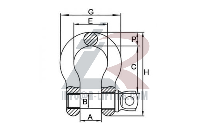 US Type Drop Forged G-209 Screw Pin Bow Shackle