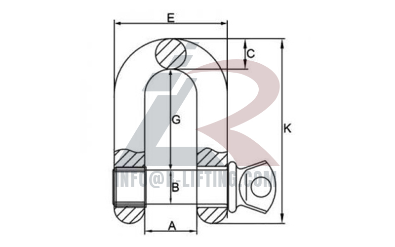 US Type Drop Forged G-210 Screw Pin Dee Shackle