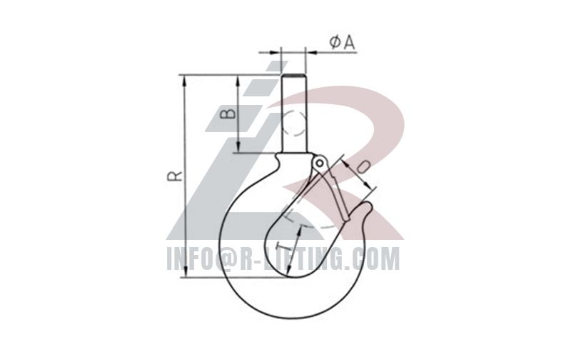 Shank Hooks With Latches