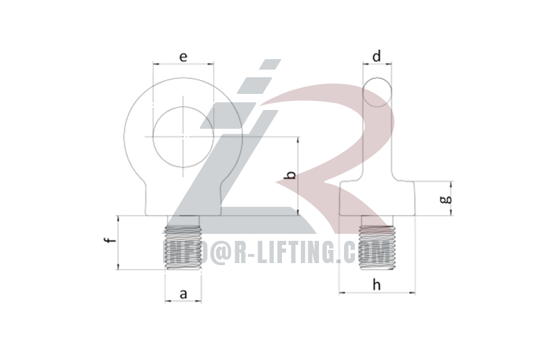 BS529 Collared Eye Bolt